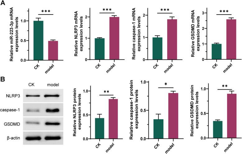 https://cdn.ncbi.nlm.nih.gov/pmc/blobs/c6b1/12070713/0ad9ea61caf4/12876_2025_3836_Fig2_HTML.jpg