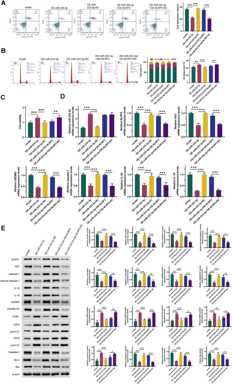 https://cdn.ncbi.nlm.nih.gov/pmc/blobs/c6b1/12070713/813b2502302b/12876_2025_3836_Fig5_HTML.jpg