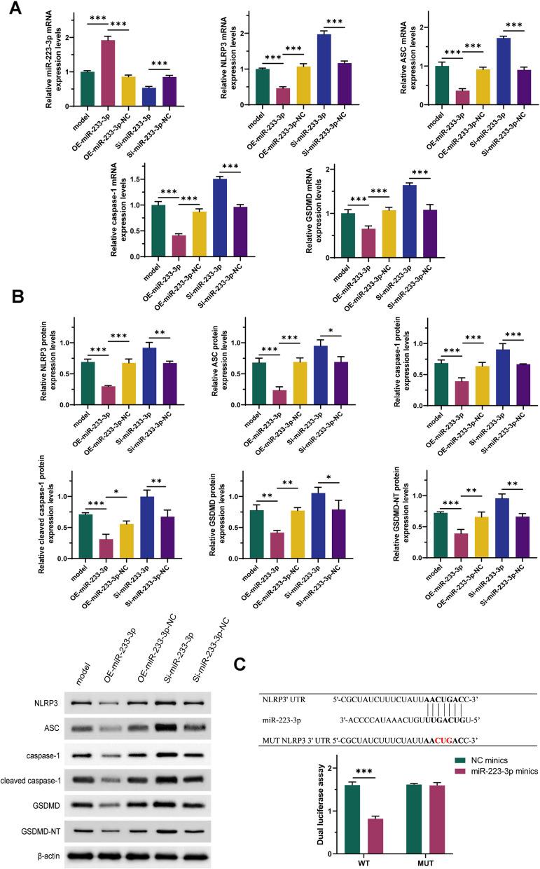 https://cdn.ncbi.nlm.nih.gov/pmc/blobs/c6b1/12070713/f55878fabef4/12876_2025_3836_Fig4_HTML.jpg