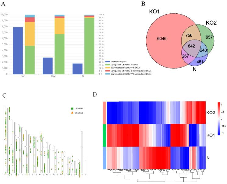 https://cdn.ncbi.nlm.nih.gov/pmc/blobs/c6b3/9861321/205d9c5df9d3/viruses-15-00060-g004.jpg
