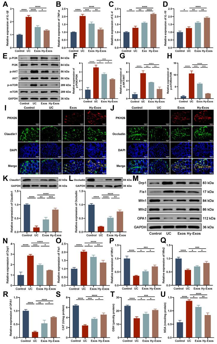 https://cdn.ncbi.nlm.nih.gov/pmc/blobs/c6b4/11303078/00ee5310c4ac/thnov14p4278g007.jpg