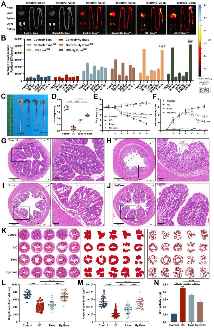 https://cdn.ncbi.nlm.nih.gov/pmc/blobs/c6b4/11303078/15851dda4b45/thnov14p4278g006.jpg