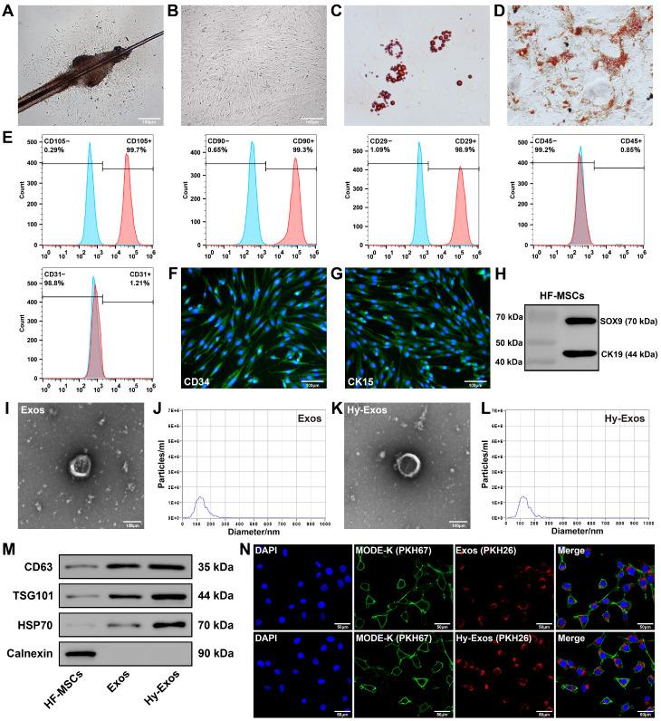 https://cdn.ncbi.nlm.nih.gov/pmc/blobs/c6b4/11303078/232a3fe8fa3c/thnov14p4278g001.jpg