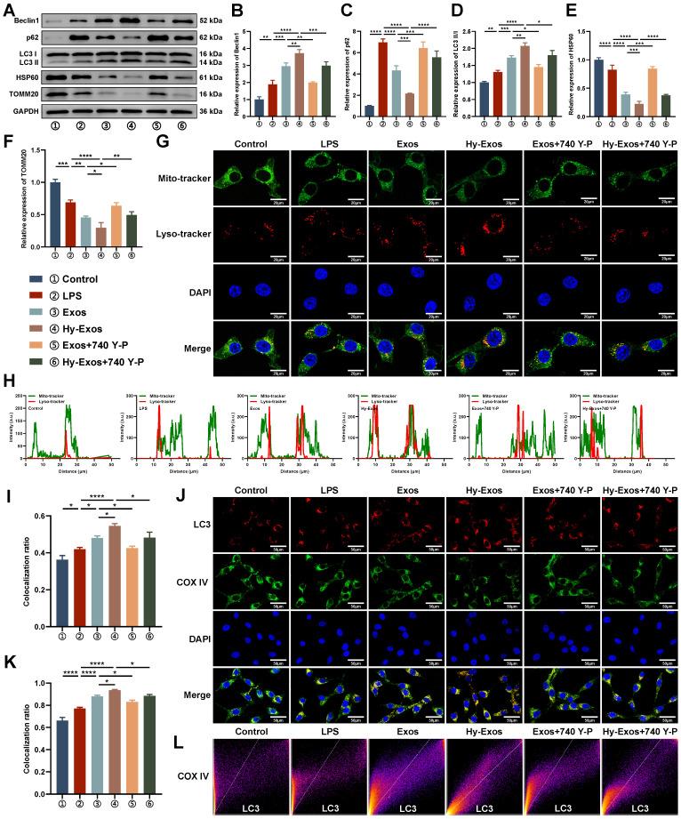 https://cdn.ncbi.nlm.nih.gov/pmc/blobs/c6b4/11303078/6055f0476898/thnov14p4278g004.jpg