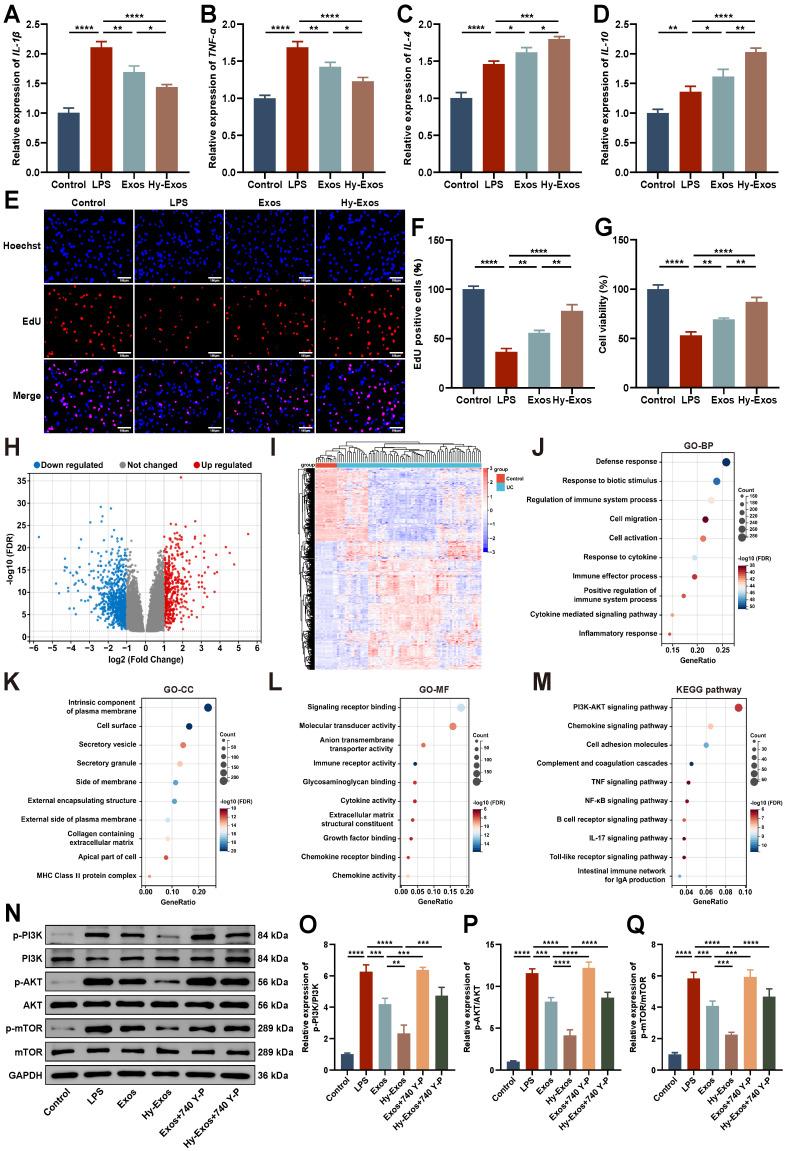 https://cdn.ncbi.nlm.nih.gov/pmc/blobs/c6b4/11303078/69bfe3988cb3/thnov14p4278g002.jpg