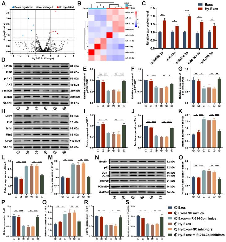 https://cdn.ncbi.nlm.nih.gov/pmc/blobs/c6b4/11303078/80f14464f740/thnov14p4278g005.jpg