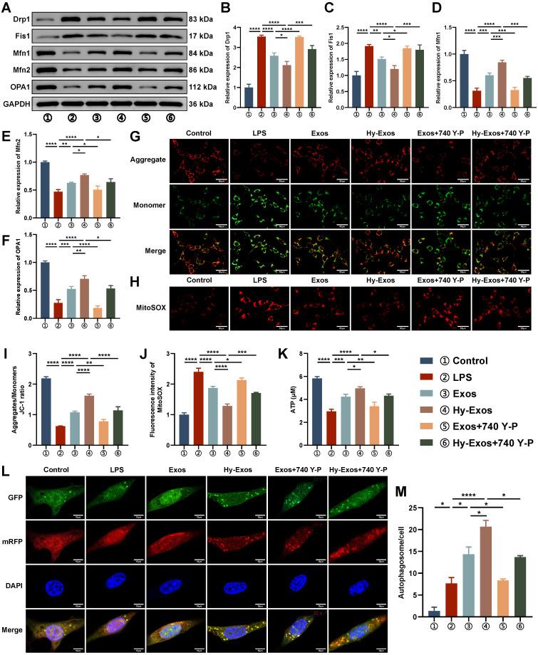 https://cdn.ncbi.nlm.nih.gov/pmc/blobs/c6b4/11303078/9b31404e58ee/thnov14p4278g003.jpg