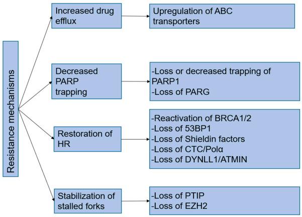 https://cdn.ncbi.nlm.nih.gov/pmc/blobs/c6b5/8150298/22af37d93581/biomolecules-11-00722-g002.jpg