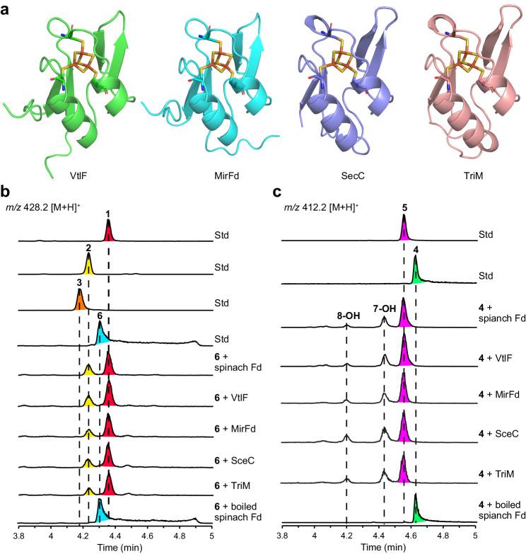 https://cdn.ncbi.nlm.nih.gov/pmc/blobs/c6b6/11236979/db63c9a2ef91/41467_2024_50142_Fig3_HTML.jpg