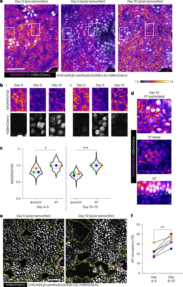 https://cdn.ncbi.nlm.nih.gov/pmc/blobs/c6bc/11821535/1940b1dec969/41556_2024_1574_Fig3_HTML.jpg