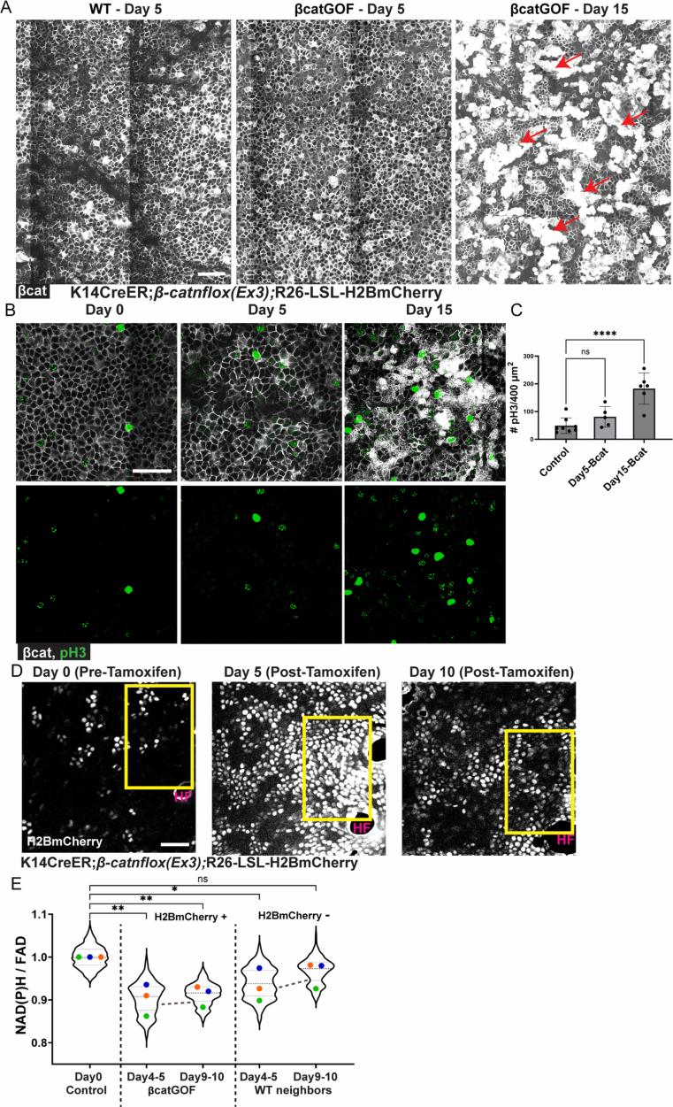 https://cdn.ncbi.nlm.nih.gov/pmc/blobs/c6bc/11821535/69d68a32f272/41556_2024_1574_Fig9_ESM.jpg