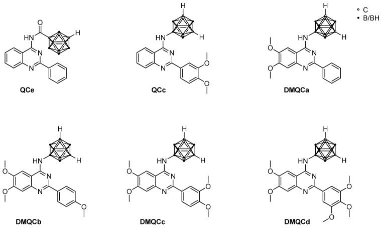 https://cdn.ncbi.nlm.nih.gov/pmc/blobs/c6bd/10674596/f6357857ed8f/pharmaceuticals-16-01582-g001.jpg
