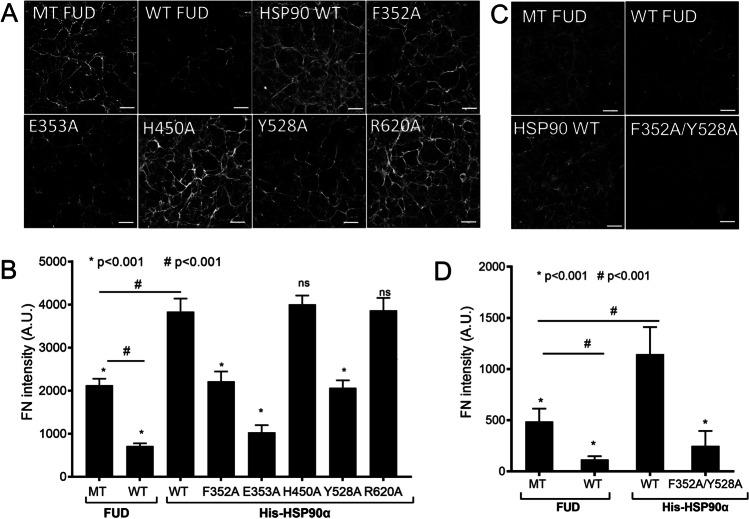 https://cdn.ncbi.nlm.nih.gov/pmc/blobs/c6be/10746679/860130676fe4/12192_2023_1362_Fig4_HTML.jpg