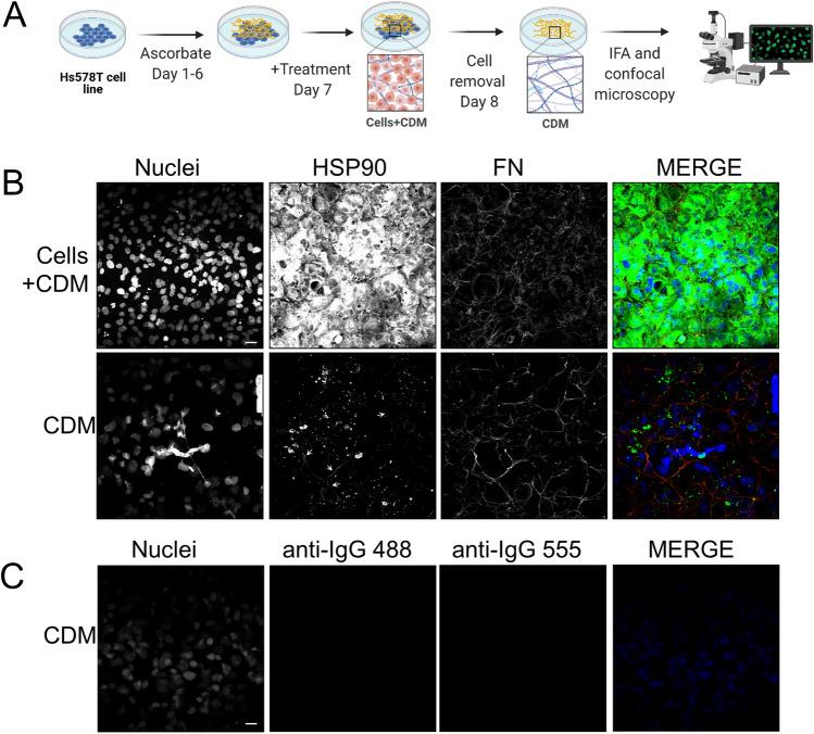 https://cdn.ncbi.nlm.nih.gov/pmc/blobs/c6be/10746679/8666c70fdf01/12192_2023_1362_Fig3_HTML.jpg