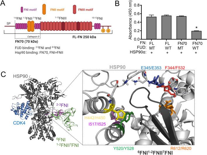 https://cdn.ncbi.nlm.nih.gov/pmc/blobs/c6be/10746679/ea7f184fdb1d/12192_2023_1362_Fig1_HTML.jpg