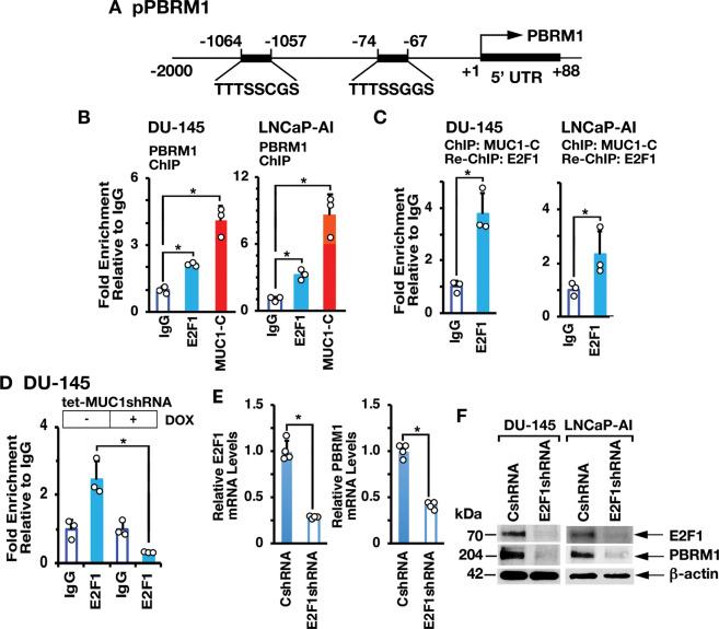 https://cdn.ncbi.nlm.nih.gov/pmc/blobs/c6c0/8321896/4f90385b65a0/41388_2021_1899_Fig2_HTML.jpg