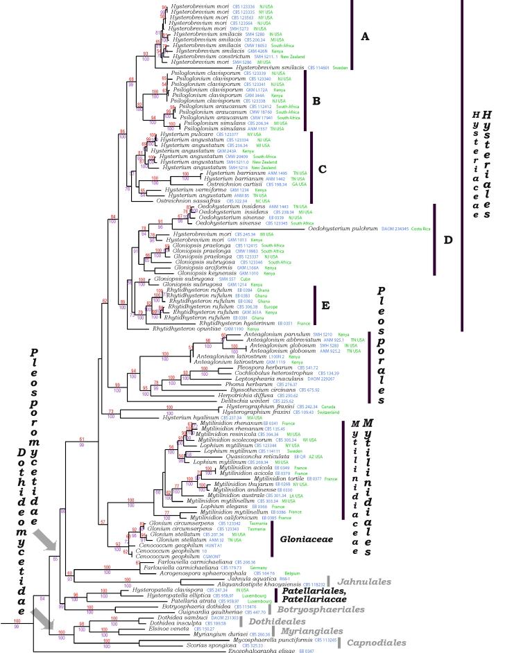 https://cdn.ncbi.nlm.nih.gov/pmc/blobs/c6c1/2816966/f937d26cfe26/49fig1.jpg