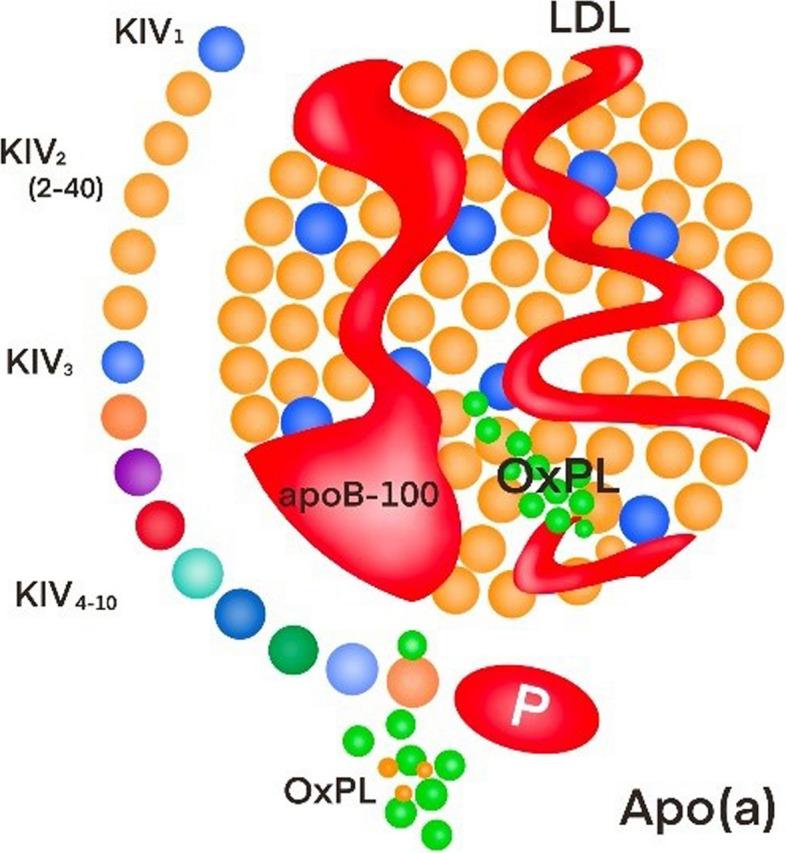 https://cdn.ncbi.nlm.nih.gov/pmc/blobs/c6c2/10515253/403f57e17622/12944_2023_1926_Fig1_HTML.jpg