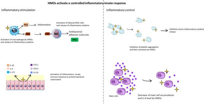 https://cdn.ncbi.nlm.nih.gov/pmc/blobs/c6c3/8180913/f6591faf0188/fimmu-12-680911-g006.jpg
