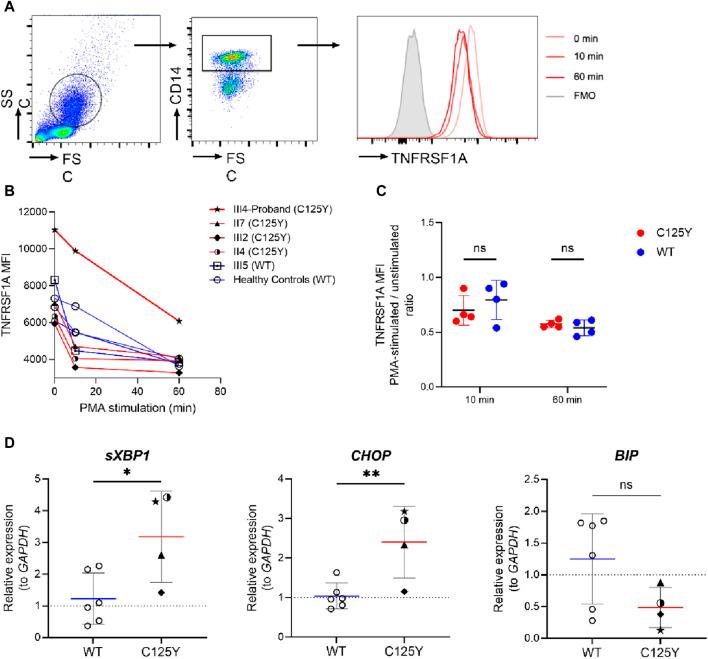 https://cdn.ncbi.nlm.nih.gov/pmc/blobs/c6c6/11228257/dfc741a595df/fgene-15-1413641-g002.jpg