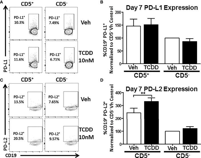 https://cdn.ncbi.nlm.nih.gov/pmc/blobs/c6c6/9088000/1333a67a87a5/fimmu-13-884203-g004.jpg