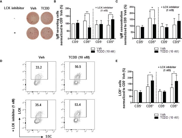 https://cdn.ncbi.nlm.nih.gov/pmc/blobs/c6c6/9088000/8ed72adfd12c/fimmu-13-884203-g003.jpg