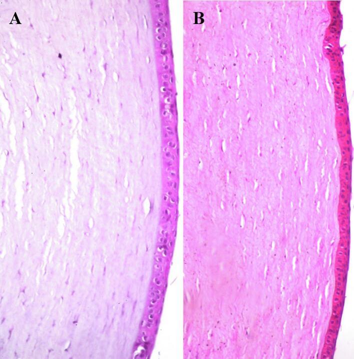 https://cdn.ncbi.nlm.nih.gov/pmc/blobs/c6c7/11909449/313401102959/gr4.jpg