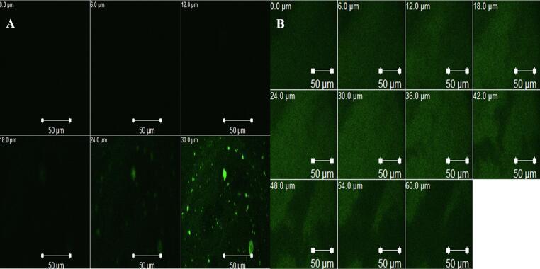 https://cdn.ncbi.nlm.nih.gov/pmc/blobs/c6c7/11909449/9cf700157765/gr5.jpg