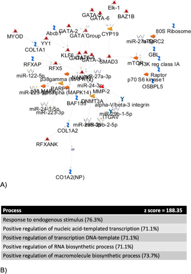 https://cdn.ncbi.nlm.nih.gov/pmc/blobs/c6c8/11470138/f4f7b4aa680d/41598_2024_72416_Fig3_HTML.jpg