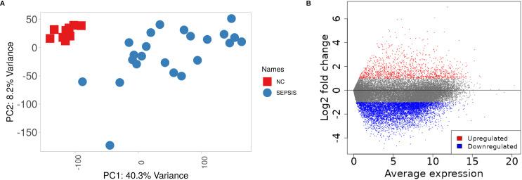https://cdn.ncbi.nlm.nih.gov/pmc/blobs/c6c8/11759385/89d610d95c16/pone.0317608.g002.jpg