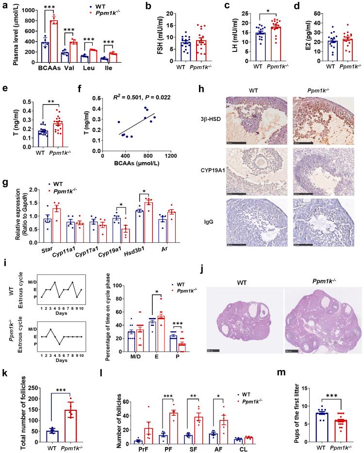 https://cdn.ncbi.nlm.nih.gov/pmc/blobs/c6c9/9986518/437404c39a79/gr4.jpg