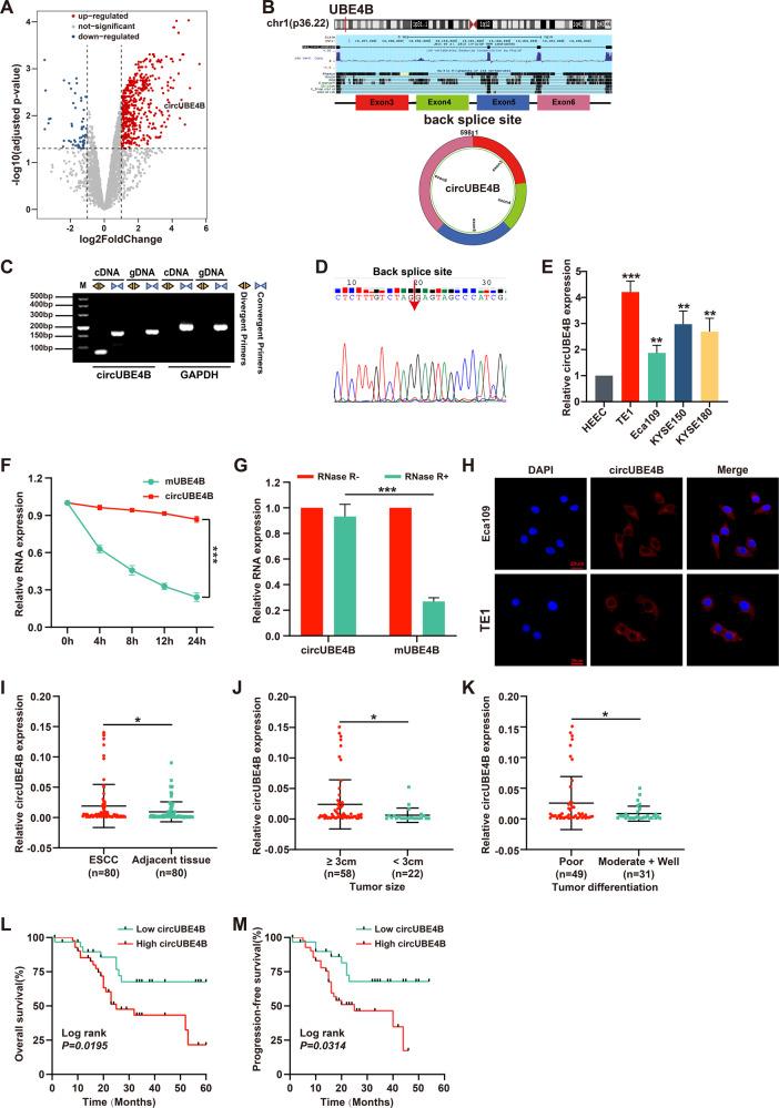 https://cdn.ncbi.nlm.nih.gov/pmc/blobs/c6ca/10235080/9f37febd5242/41419_2023_5865_Fig1_HTML.jpg
