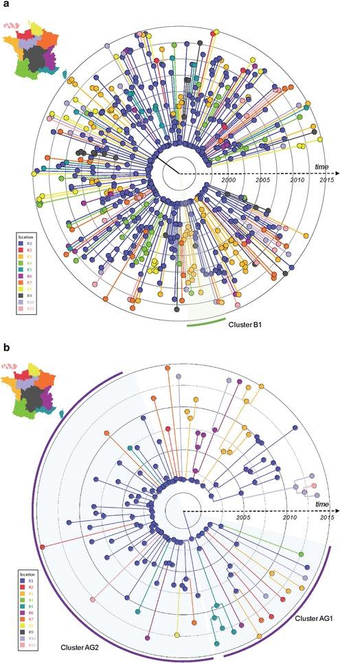 https://cdn.ncbi.nlm.nih.gov/pmc/blobs/c6cb/5322782/b5b552159cad/12977_2017_339_Fig3_HTML.jpg