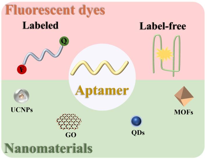 https://cdn.ncbi.nlm.nih.gov/pmc/blobs/c6cc/12025019/85609c8495d8/biosensors-15-00252-g002.jpg