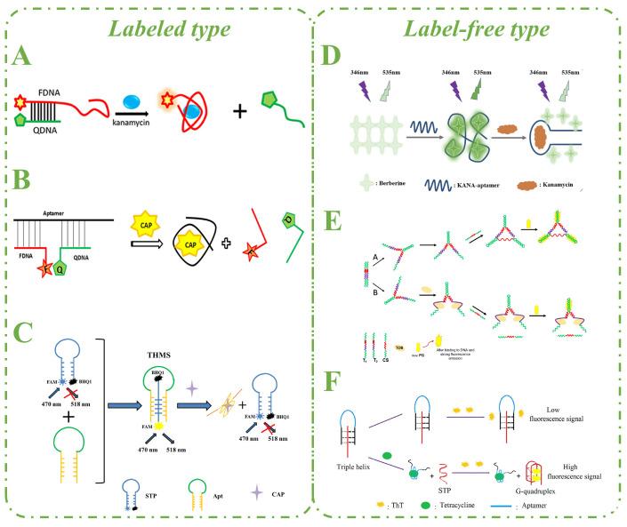 https://cdn.ncbi.nlm.nih.gov/pmc/blobs/c6cc/12025019/a1c9ee3c56ea/biosensors-15-00252-g003.jpg