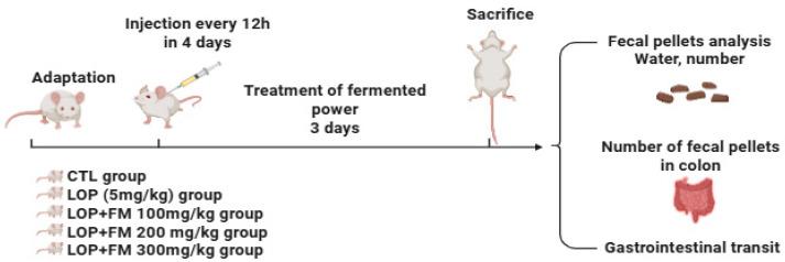 https://cdn.ncbi.nlm.nih.gov/pmc/blobs/c6cc/12347200/ed8547988033/ijms-26-07615-g008.jpg