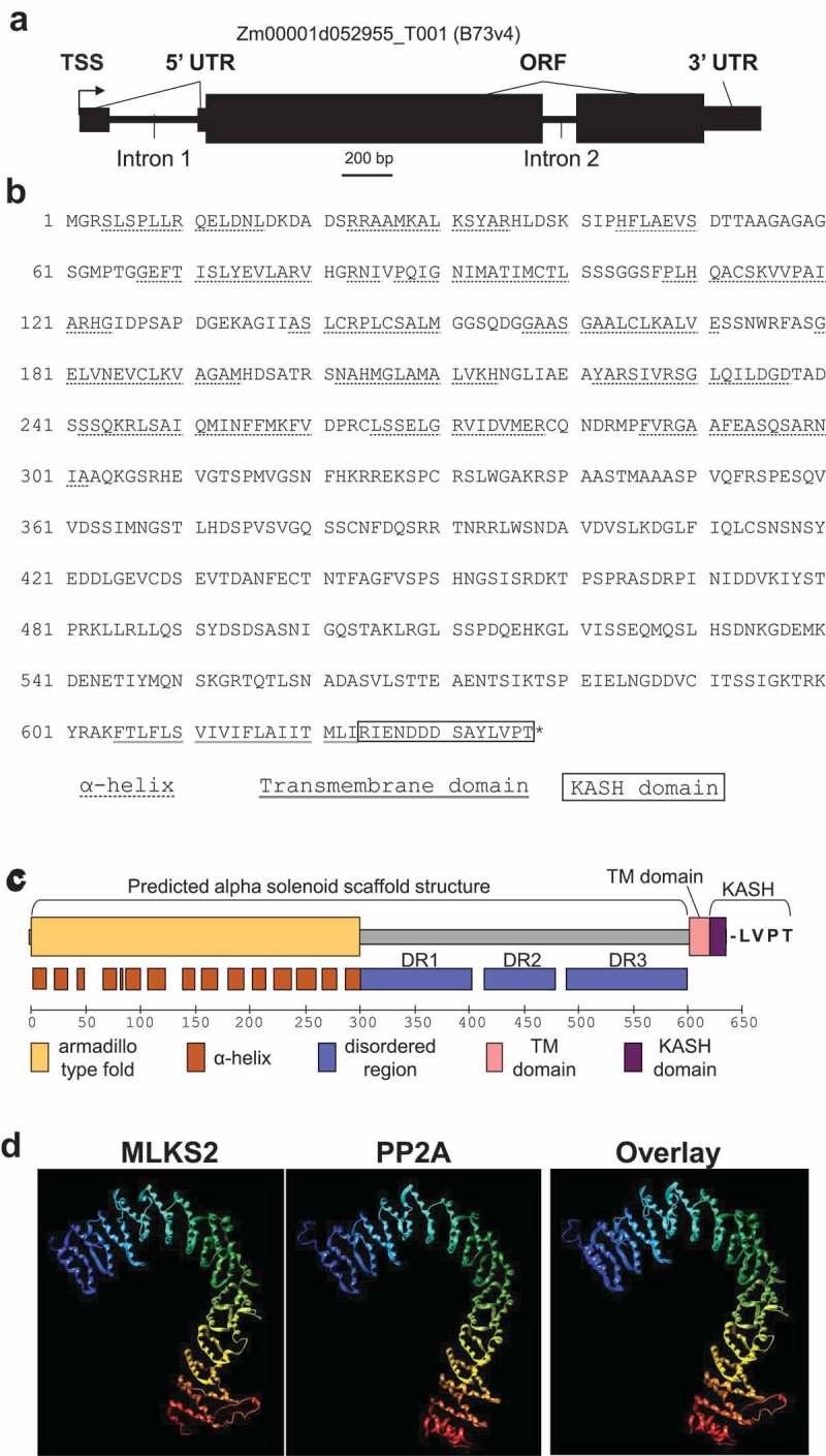 https://cdn.ncbi.nlm.nih.gov/pmc/blobs/c6cd/6649574/80b9bc85e88d/kncl-10-01-1629795-g001.jpg