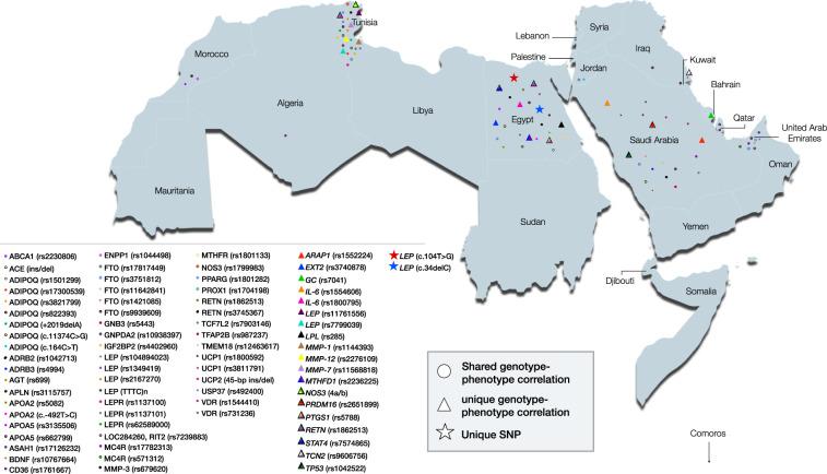 https://cdn.ncbi.nlm.nih.gov/pmc/blobs/c6cd/8380539/99439afeb1ae/41366_2021_867_Fig3_HTML.jpg