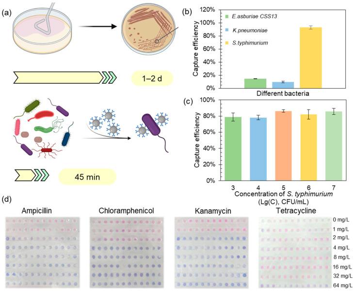https://cdn.ncbi.nlm.nih.gov/pmc/blobs/c6ce/10741774/7673ca9f8688/biosensors-13-01028-g005.jpg