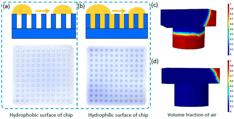 https://cdn.ncbi.nlm.nih.gov/pmc/blobs/c6ce/10741774/d4d25f01b612/biosensors-13-01028-g002.jpg