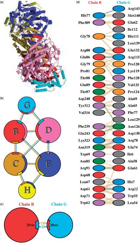 https://cdn.ncbi.nlm.nih.gov/pmc/blobs/c6d1/2686501/2c7e33d16b27/gkn860f3.jpg
