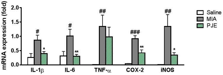 https://cdn.ncbi.nlm.nih.gov/pmc/blobs/c6d4/6024510/a73991cbf5e6/nutrients-10-00754-g004.jpg