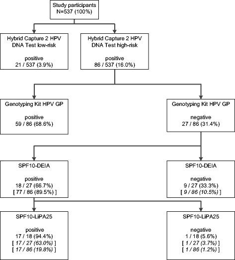 https://cdn.ncbi.nlm.nih.gov/pmc/blobs/c6d5/4197284/357fef5f12ed/13027_2014_504_Fig1_HTML.jpg