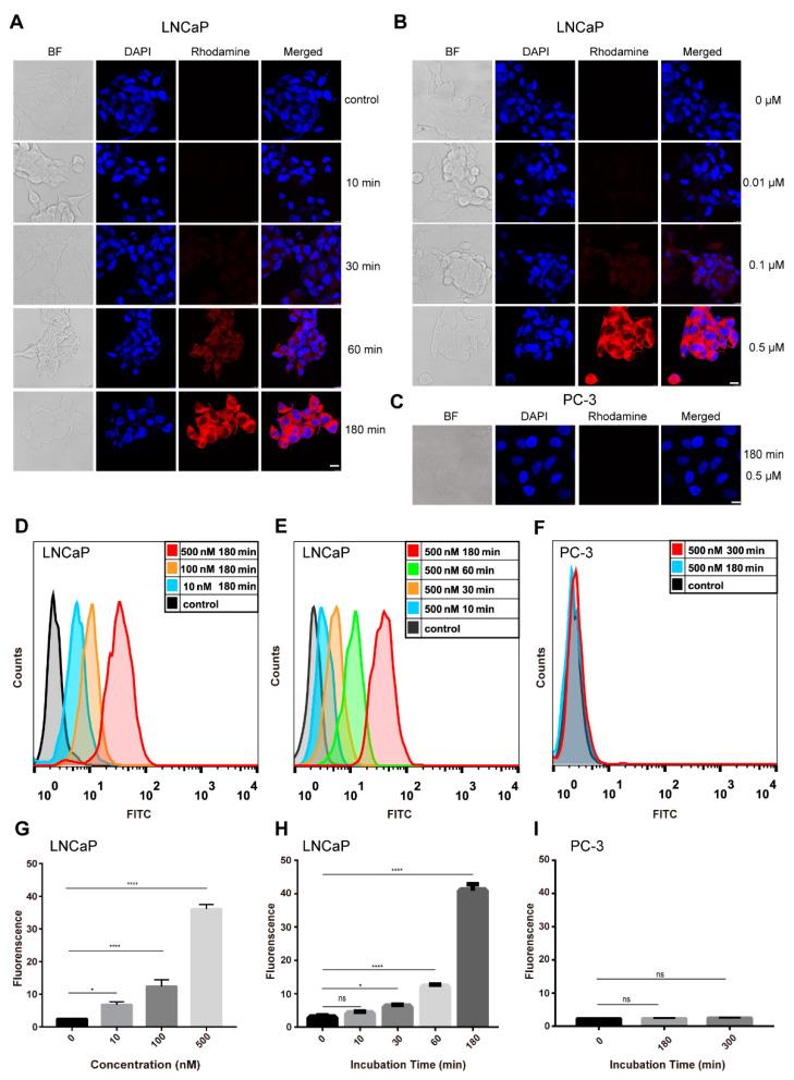 https://cdn.ncbi.nlm.nih.gov/pmc/blobs/c6d6/8197099/3148dbc9ae0a/ijms-22-05501-g004.jpg