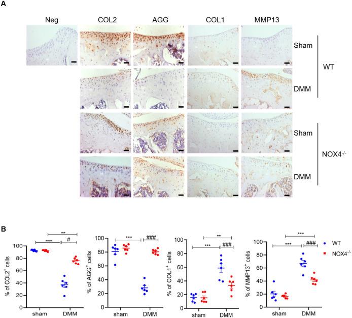 https://cdn.ncbi.nlm.nih.gov/pmc/blobs/c6d6/9945017/a77a5362b9ac/rmdopen-2022-002856f03.jpg