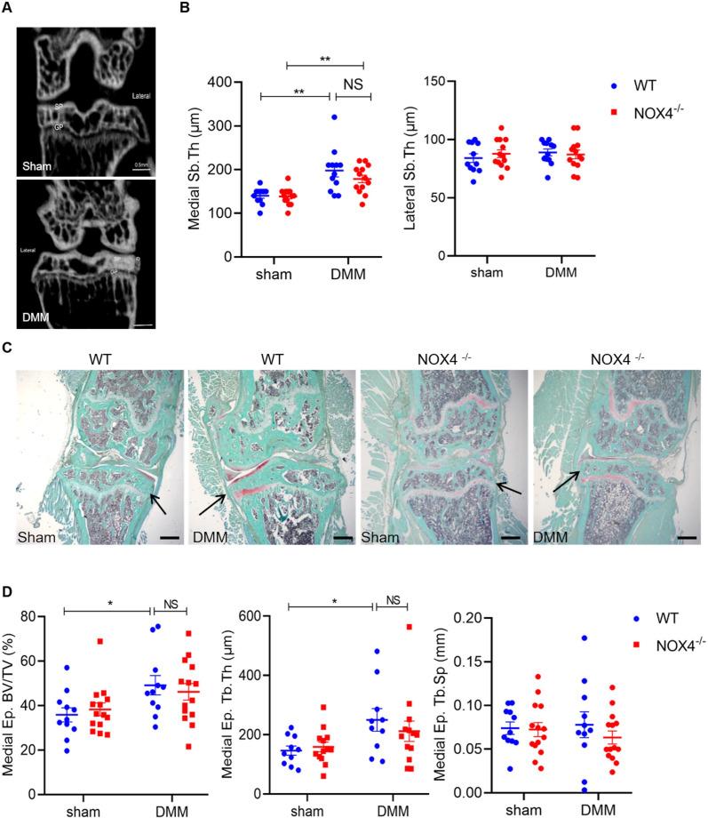 https://cdn.ncbi.nlm.nih.gov/pmc/blobs/c6d6/9945017/bb972cf7d04b/rmdopen-2022-002856f02.jpg