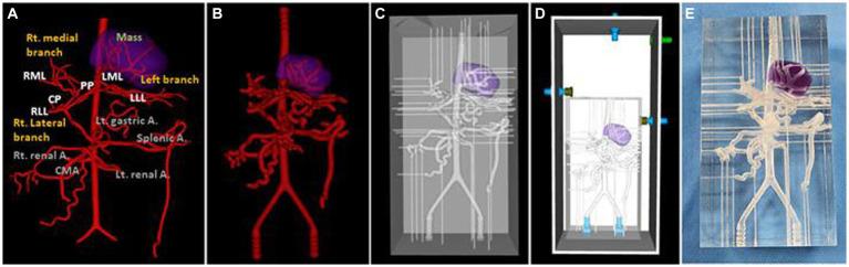 https://cdn.ncbi.nlm.nih.gov/pmc/blobs/c6d7/10861713/63d31c54aeaf/fvets-10-1280028-g006.jpg
