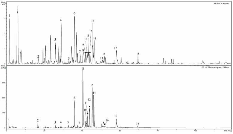 https://cdn.ncbi.nlm.nih.gov/pmc/blobs/c6da/10675343/f0770fd12aa3/pharmaceutics-15-02528-g001.jpg