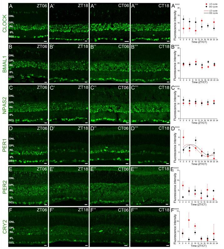 https://cdn.ncbi.nlm.nih.gov/pmc/blobs/c6dc/3506613/f8437caa92c6/pone.0050602.g002.jpg