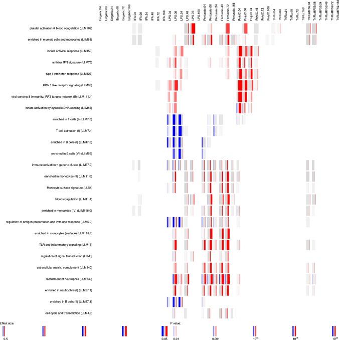 https://cdn.ncbi.nlm.nih.gov/pmc/blobs/c6df/6555592/17ed230d47c6/elife-46149-fig2-figsupp3.jpg
